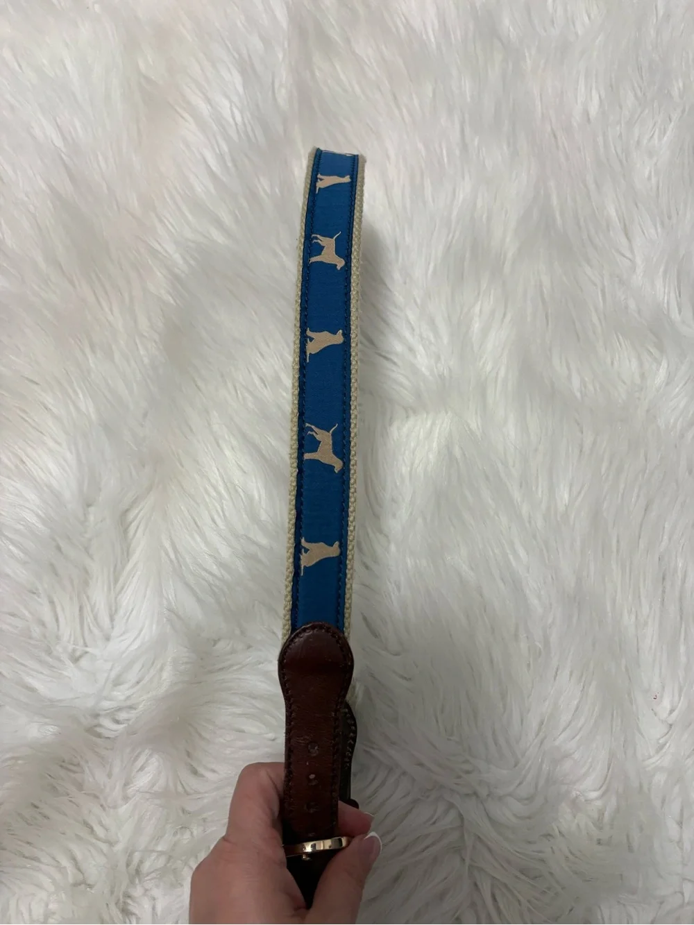 Boy’s Preppy Blue Ribbon Belt Khaki Dog Silhouette Collar Brown Leather